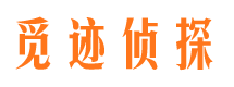 德宏市私家侦探